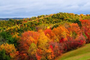Read more about the article Best Ohio Road Trip Destinations This Fall