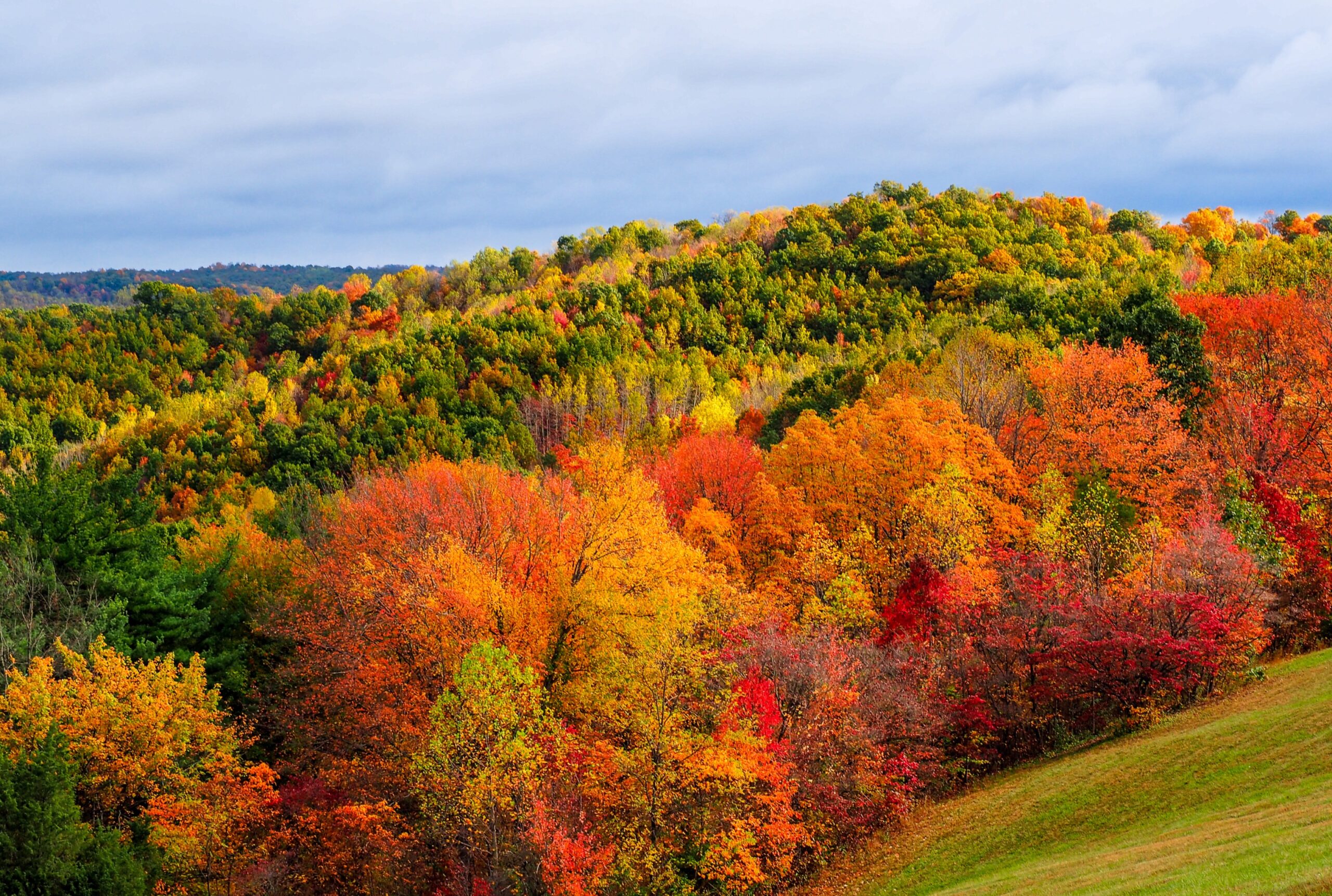 You are currently viewing Best Ohio Road Trip Destinations This Fall
